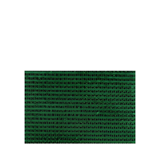 Tapis d'entrée Klip anti dérapant Travellife | Paillasson pour van aménagé, camping-car et fourgon