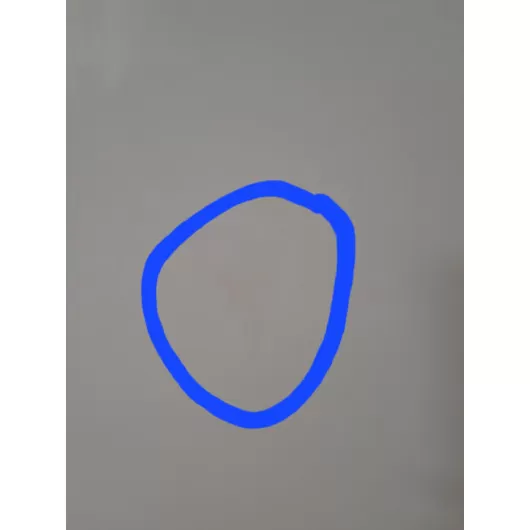 EURAMAX Porte caravane reconditionné 1700 x 525 mm