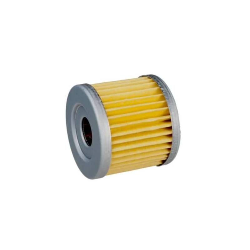 Aspirateur Cendres Filtre à Cartouche MisterVac Compatible Quigg AF 2015.16, AF 2017.18, AF 2017.19 - Pour Aspirateur à Cendres Filtre Remplacement Quigg AF