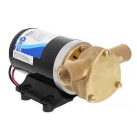Water Puppy 23680 Jabsco | pompe de transfert 12/24V à turbine pour bateau