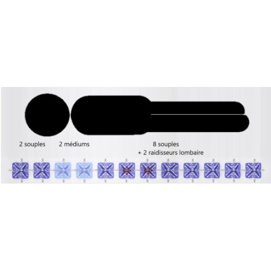 Pack extension sommier basic H 4,3 × 10/20 × 200 cm pour Star mobil de FROLI : vu réparation corps humain.