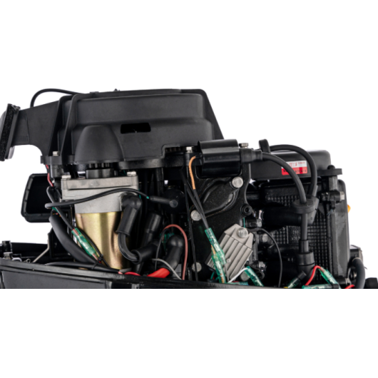 PARSUN F9.8 | Moteur HB 9,8 CV | Barre franche
