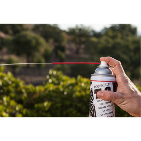 Lubrifiant anticorrosion Boeshield T9 en spray | Produit d'entretien