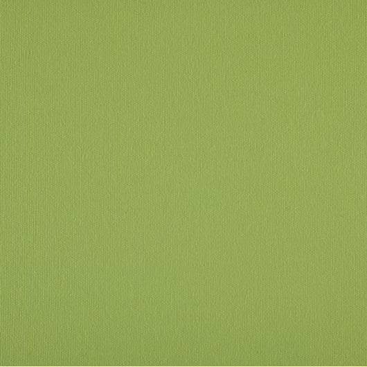 Tissu AGORA LISO – Toile acrylique outdoor déperlante & anti‑UV | Pour coussins bateau & van | Verde Claro