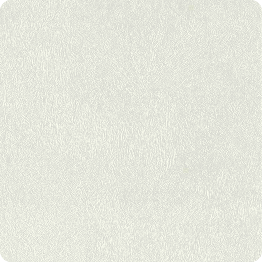 Panneau contreplaquer léger en PVC 2440 x 1220 x 3 mm | Revêtement pour an aménagé & camping-car | Plâtre blanc