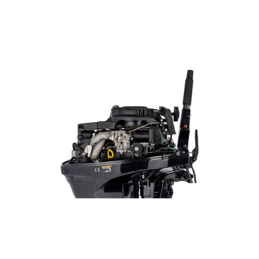 Moteur Hors-Bord 15 CV PARSUN F15 EFI | Moteur thermique | Zoom moteur