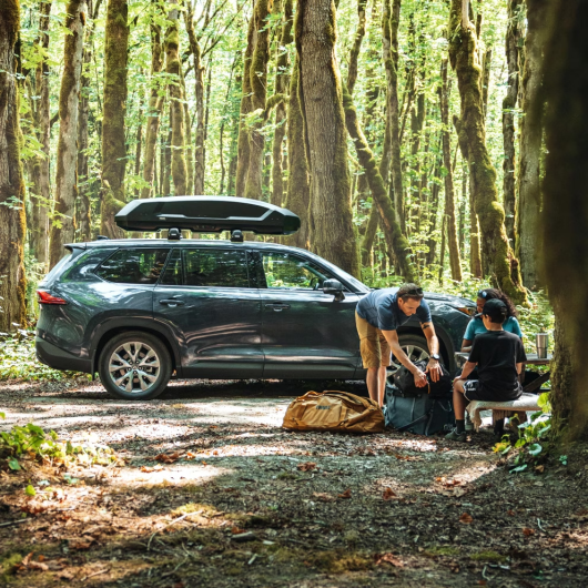Coffre de toit rigide 300L Force 3 S de Thule | Solution de rangement pour van aménagé et voiture