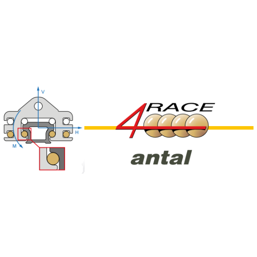 ANTAL Rail équipé 4 Race T100 simple
