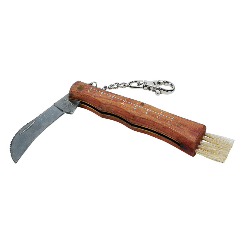 Couteau à Champignons Pliable Avec Brosse, Règle Et Boussole - Lame Incurvée Acier Inox, Idéal Randonnée Et Cueillette