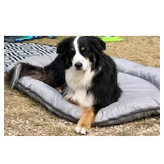 Tapis pour chien matelassé HT - matériel pour chien au camping, van & bateau