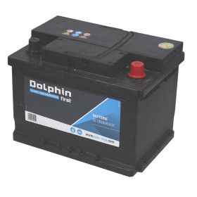 DOLPHINE First batterie calcium 60 Ah