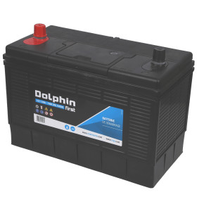 DOLPHINE First batterie calcium 110 Ah