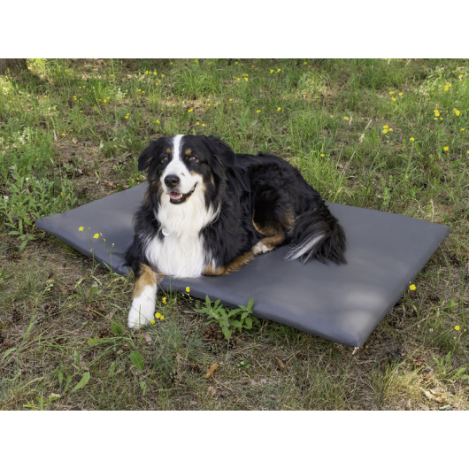 Matelas pour chien T5-T6 California CAMP4 - matelas cuir pour le couchage de votre chien en van.