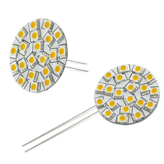 DIXPLAY ampoule 21 LED blanc neutre
