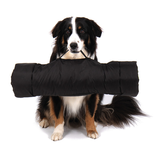 Tapis Abby pour chien CAMP4 - tapis ou couverture pour animaux de compagnie.