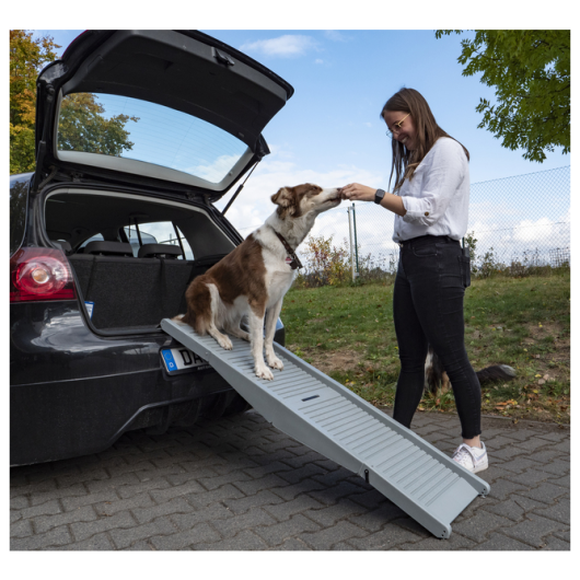 Rampe Emma pour chien CAMP4 - rampe d'accès pour le chien en fourgon ou camping-car.