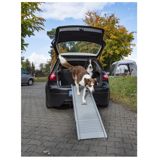 Rampe Emma pour chien CAMP4 - rampe d'accès pour le chien en fourgon ou camping-car.