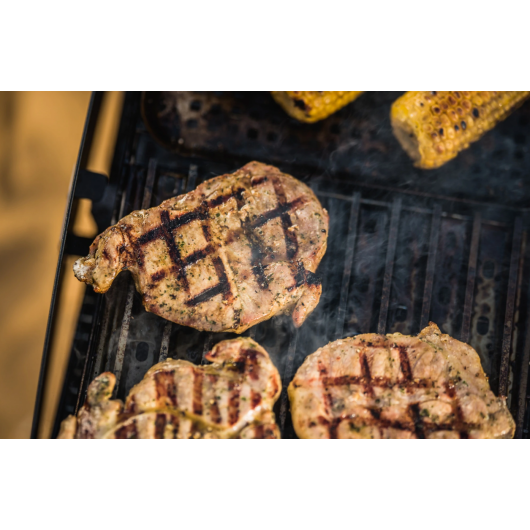 Grille et lèches-frites GIZZO - accessoire de cuisson pour barbecue.