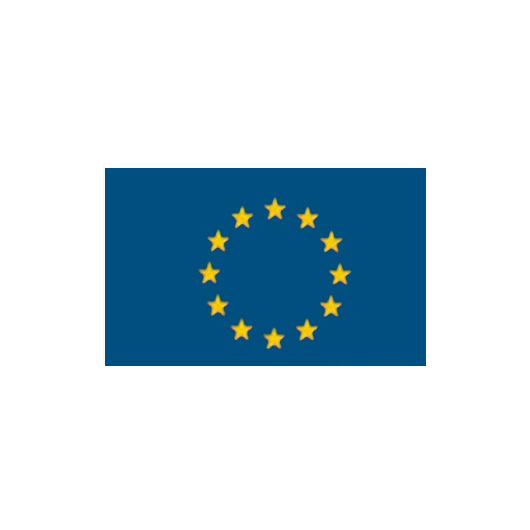 Pavillon Union Européenne OSCULATI - Drapeau de courtoisie voilier