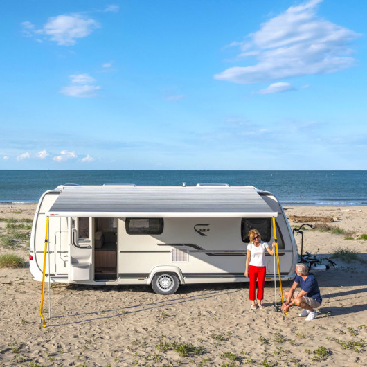 FIAMMA F80 S 290 - Store de toit pour fourgon aménagé, camping-car et caravane