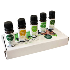 TOTALCOOL Totalfresh paquet huiles essentielles - eucalyptus, citronnelle