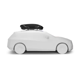 THULE Coffre de toit Motion 3 M