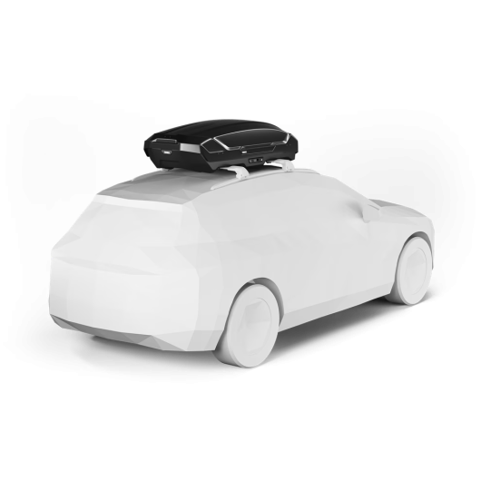 THULE Coffre de toit Motion 3 M