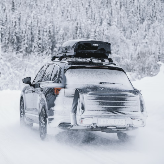 Onto THULE - coffre arrière sur boule d'attelage pour voiture, fourgon et van aménagé - au ski