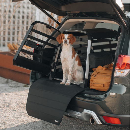 Caisse transport chien THULE Allax- Equipement voiture - ouvert