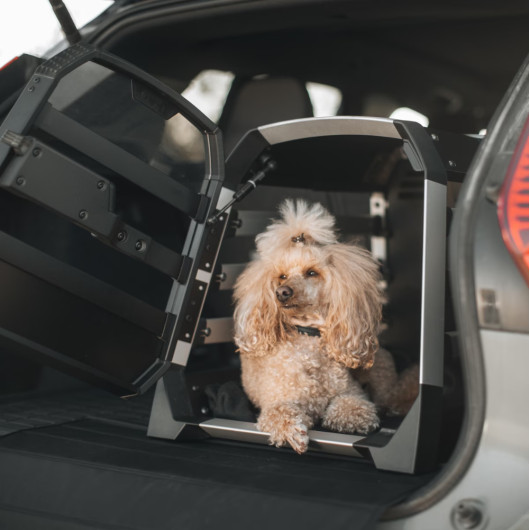 Caisse transport chien THULE Allax- Equipement voiture - chien