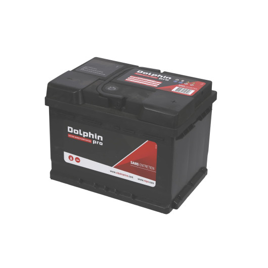 Batterie mixte démarrage et stockage pour bateau & camping-car DOLPHIN Pro 60A - Vue de dos