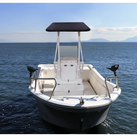 T-Top professionnel OCEANSOUTH Heavy Duty | Roll-bar, T-top, anneau de traction & arceau | Blanc/Bleu en action