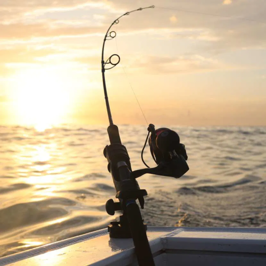 Porte-canne à pêche HEXX Rod Holder II Black avec HEXX Base Railblaza | Support de canne | En action avec canne spinning