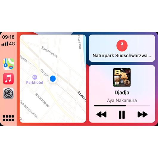 Autoradio 1DIN Z-N875 de ZENEC | Station multimédia pour van aménagé et fourgon aménagé | Apple CarPlay / Android Auto