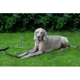 PetPeg 2.0 - Ancrage au sol pour chien - piquet