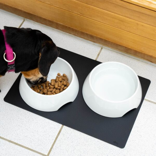 Gamelles + tapis - Accessoire pour chien et chat - croquettes