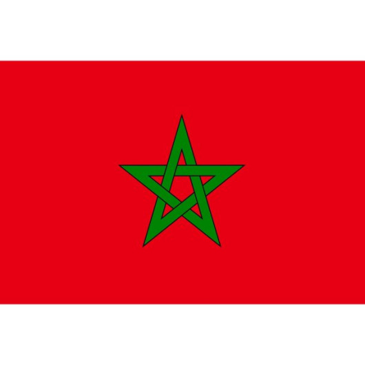 Pavillon Plastimo du Maroc | Drapeau de courtoisie en bateau