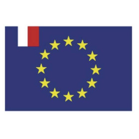 Pavillon Plastimo EuroFrance | Drapeau de courtoisie en bateau