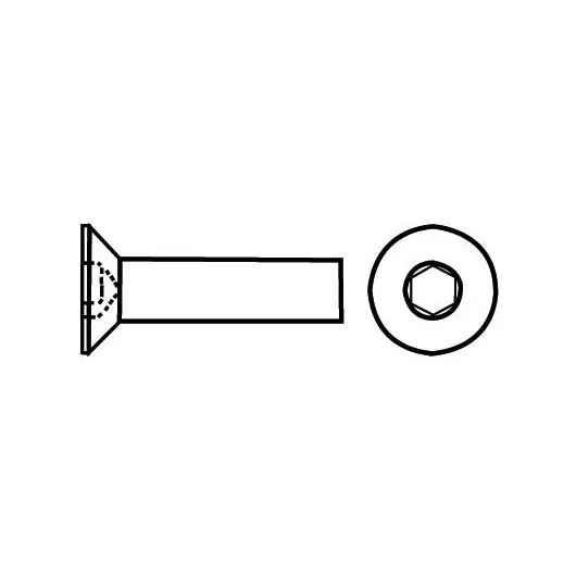 Vis inox A4 Marinox tête fraisé 6 pans 12 mm pour bateau ou camping-car | Visserie marine acier inoxydable | Schéma