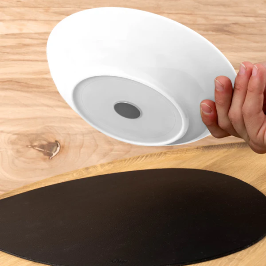 Lot 2 bols Ø 21 cm - vaisselle magnétique - pratique