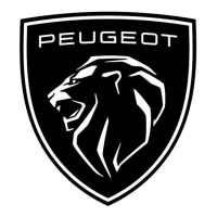 Fenêtres et baies pour van ou fourgon Peugeot – Expert & Boxer | Baies à coller et coulissantes